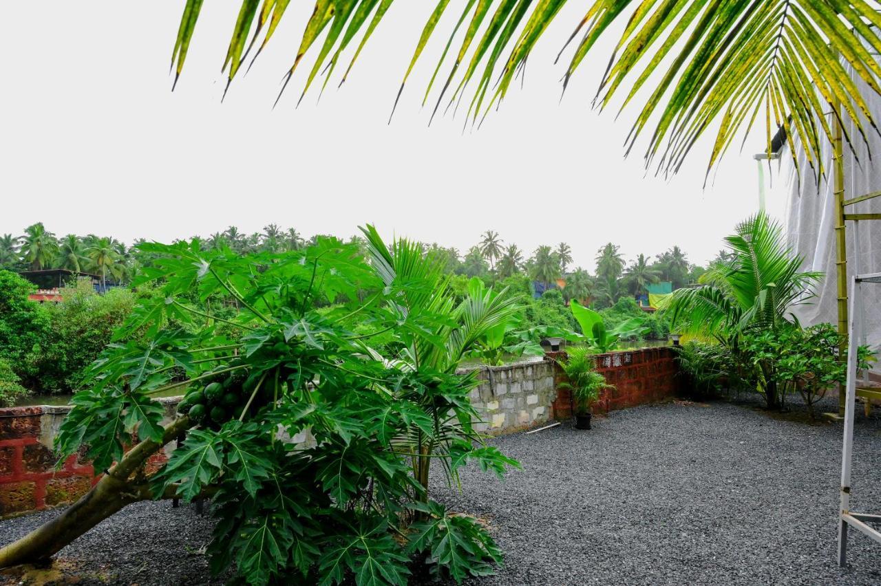 Vedana Retreat Arambol Hotel Eksteriør billede